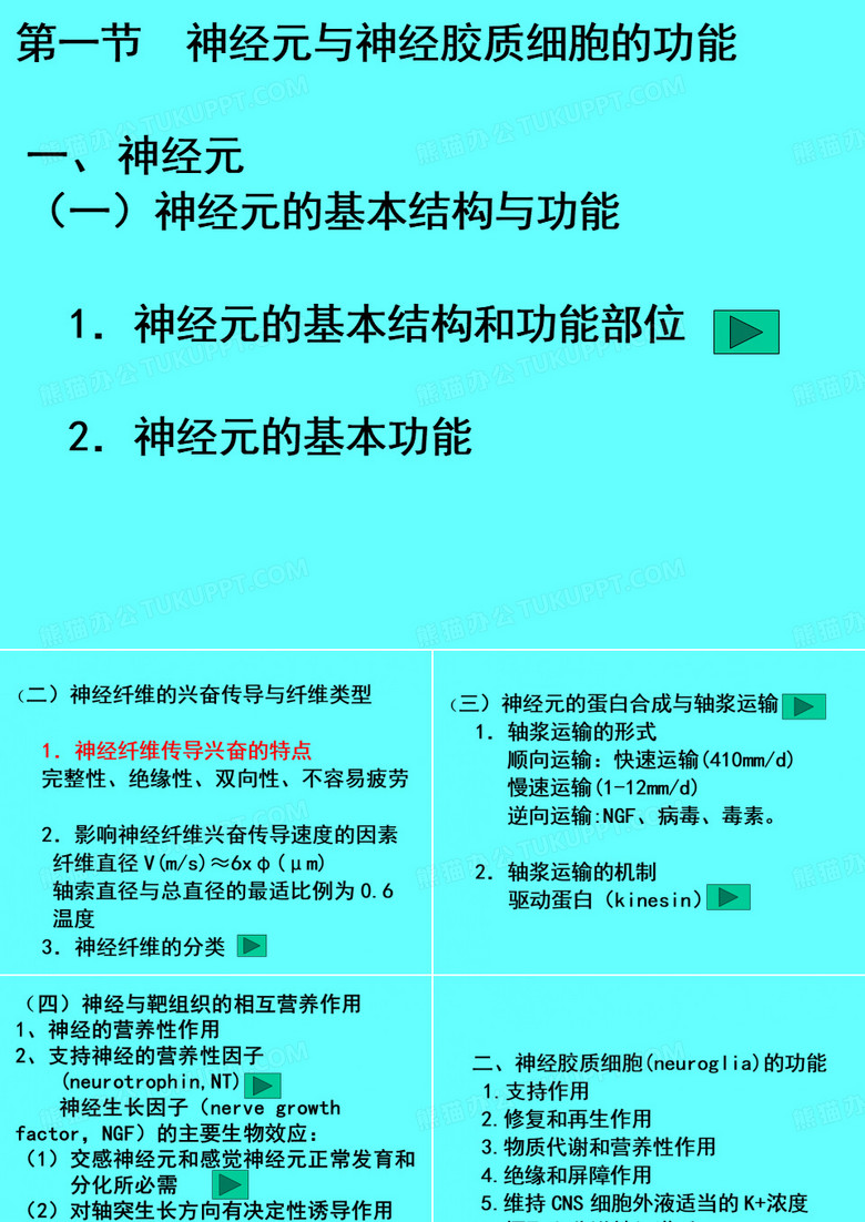 生理学神经系统PPT