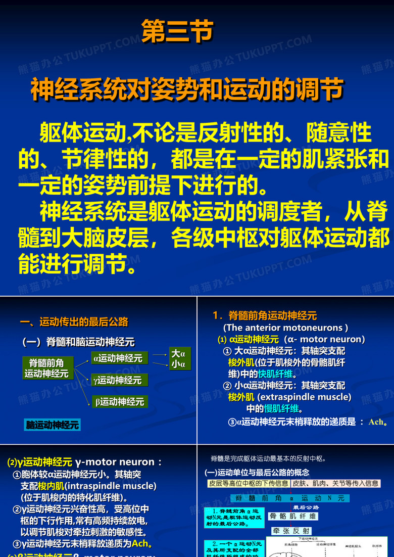 生理学：神经系统 (2)