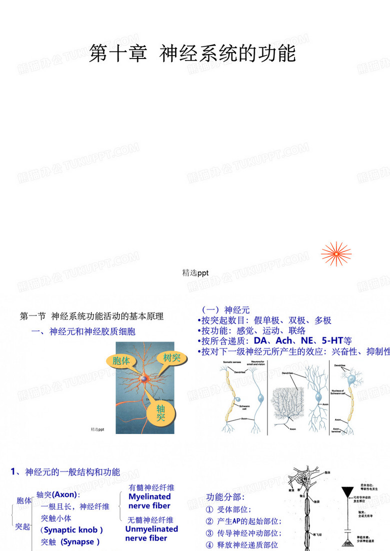 生理学第章神经系统