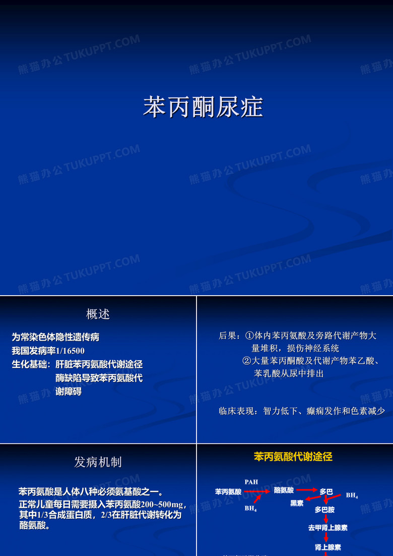 《苯丙酮尿症》