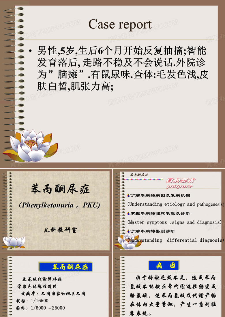 苯丙酮尿症2