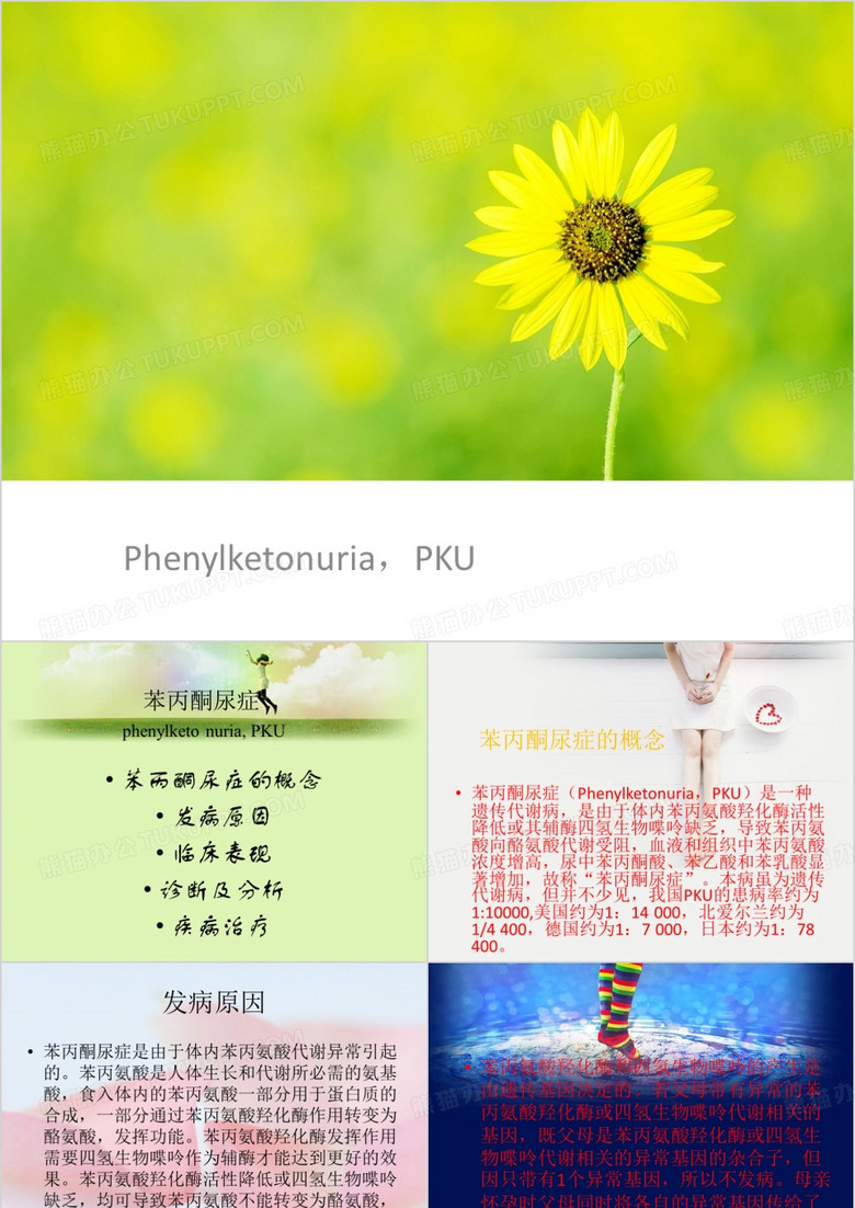 苯丙酮尿症-