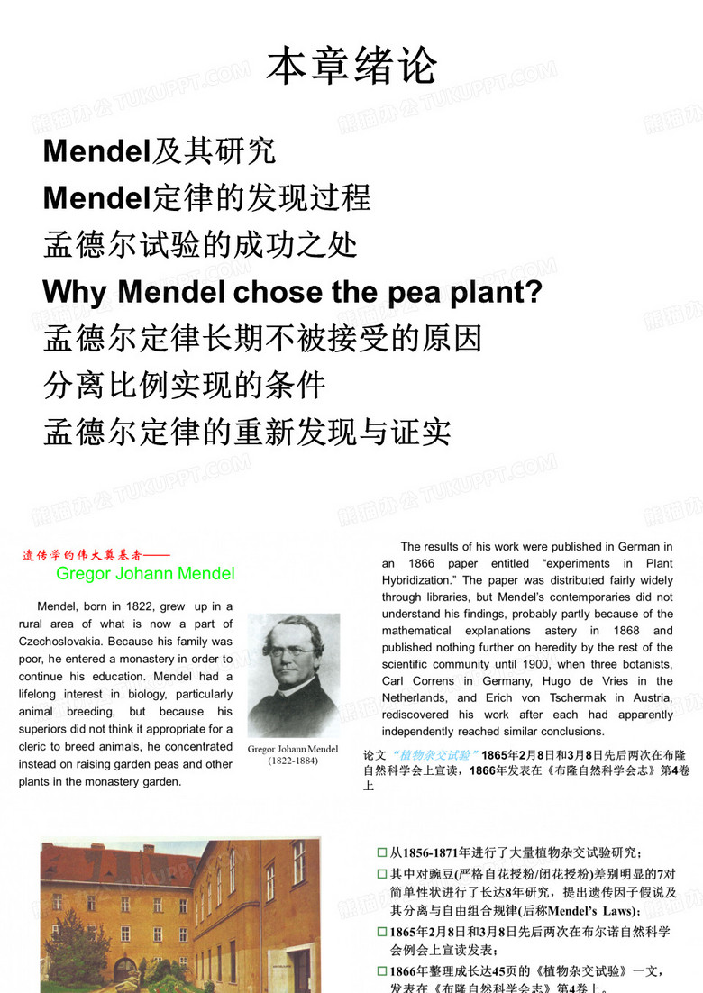 孟德尔遗传定律