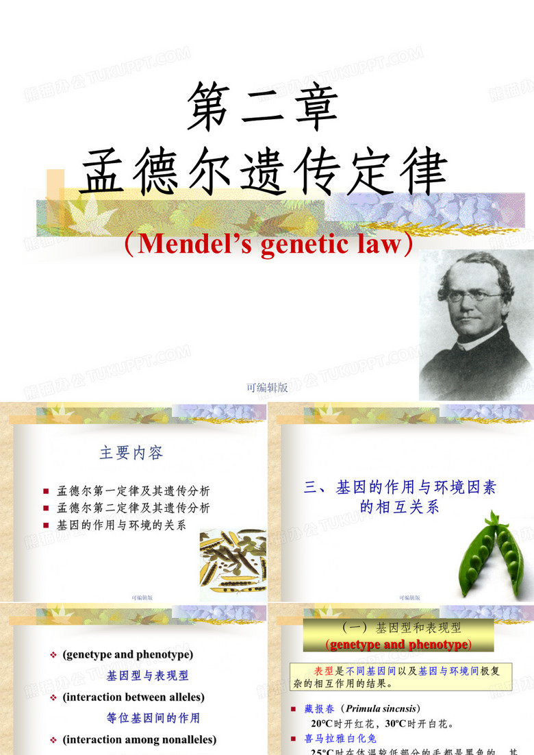 遗传学-孟德尔遗传定律