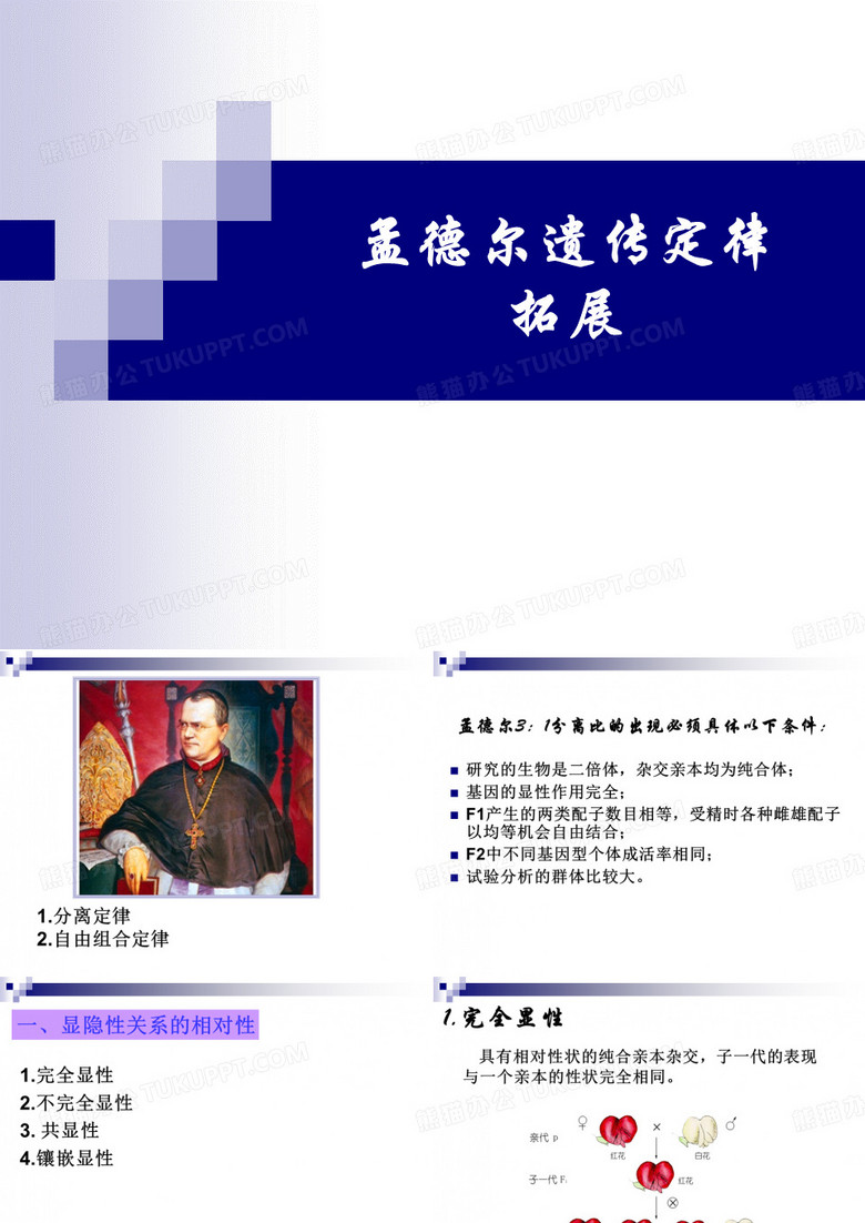 孟德尔遗传定律拓展