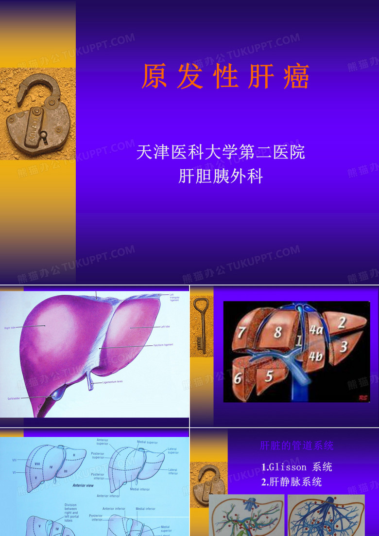 原发性肝癌