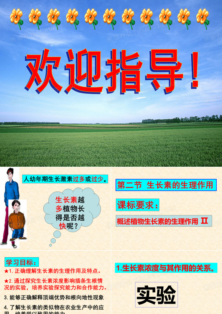 生长素的生理作用