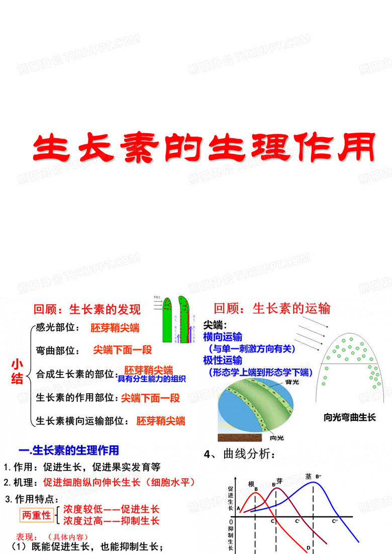 生长素的生理作用