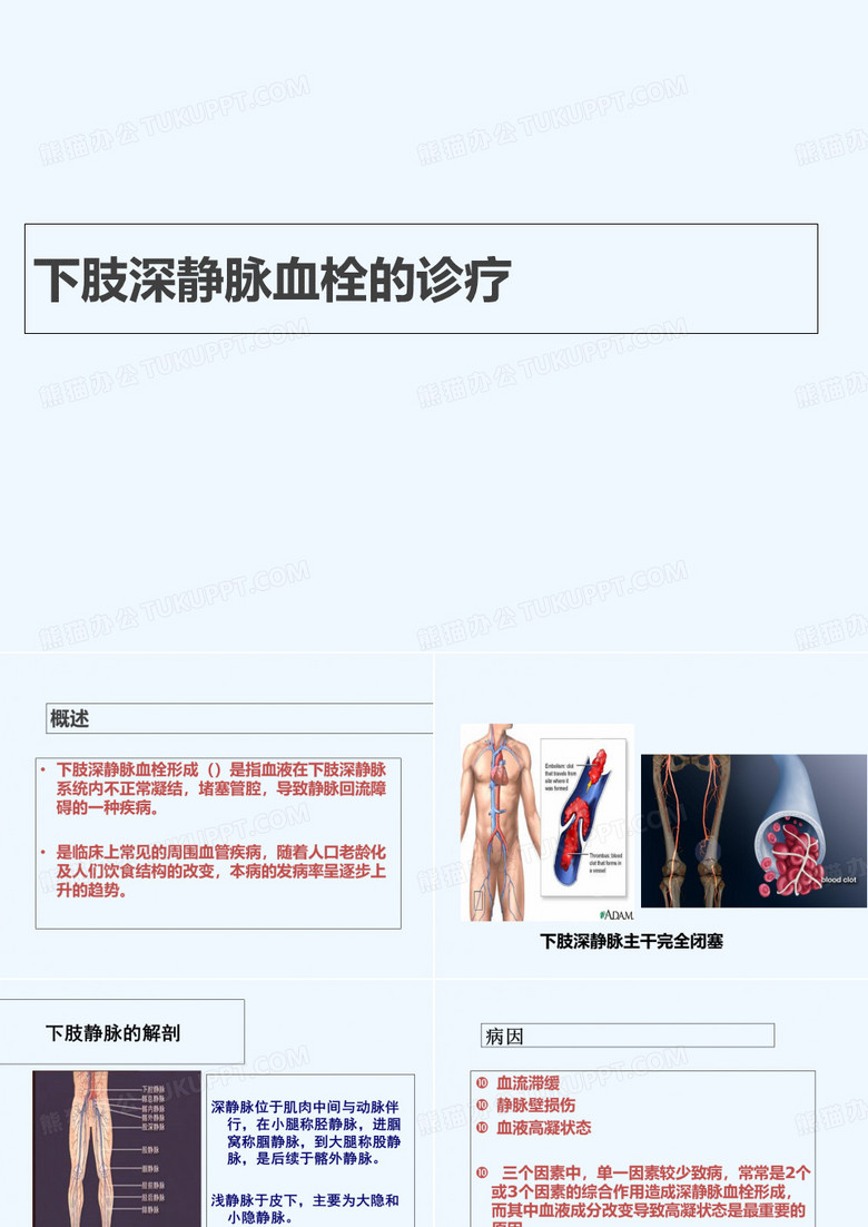 下肢深静脉血栓诊疗