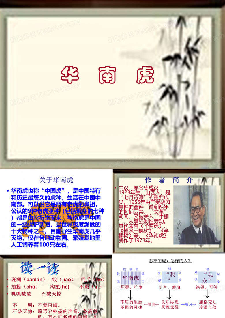 华南虎