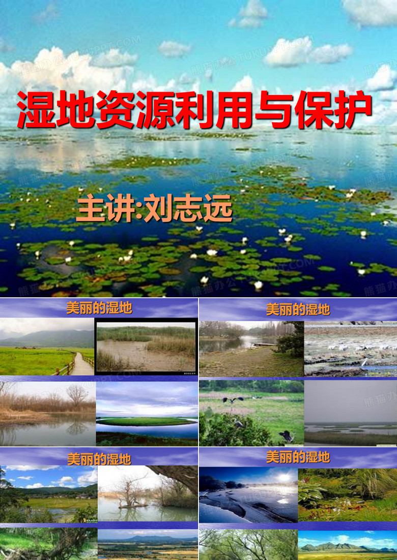 湿地的保护与利用