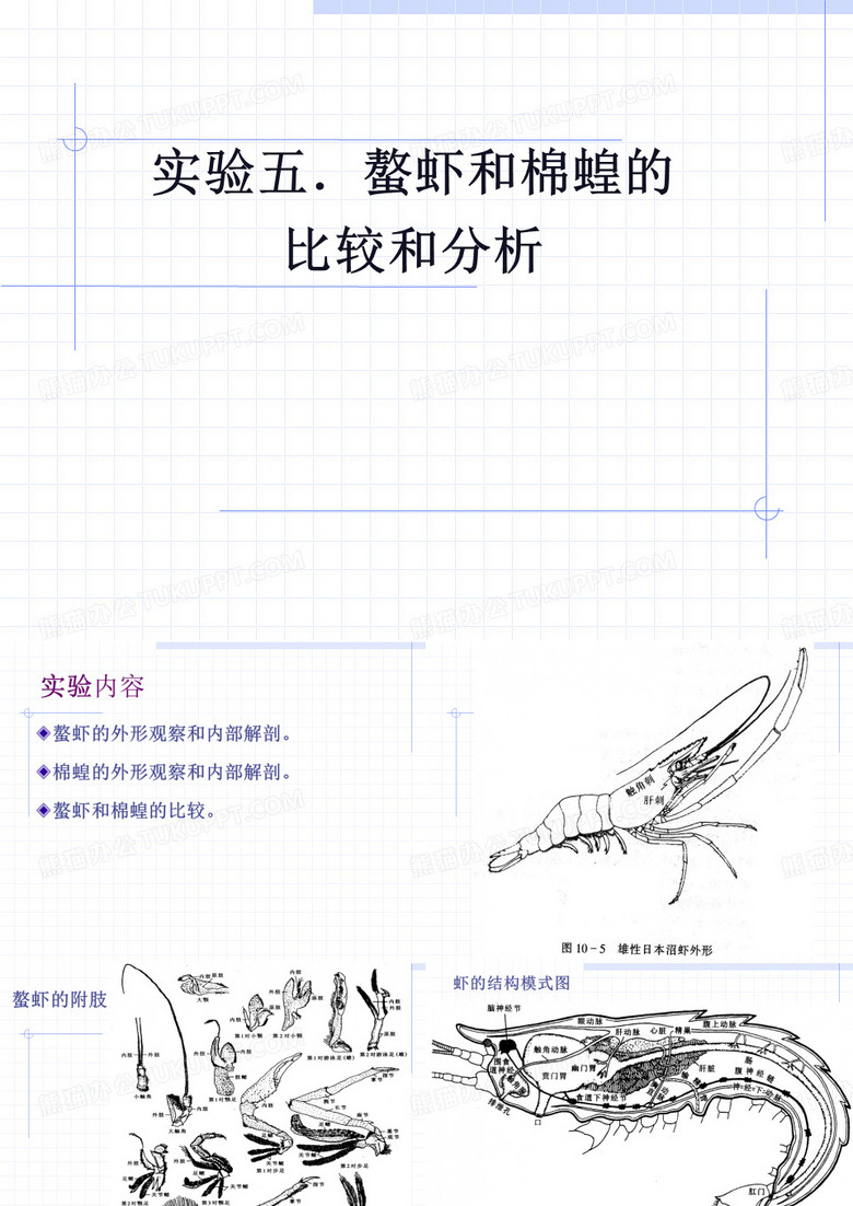 动物学