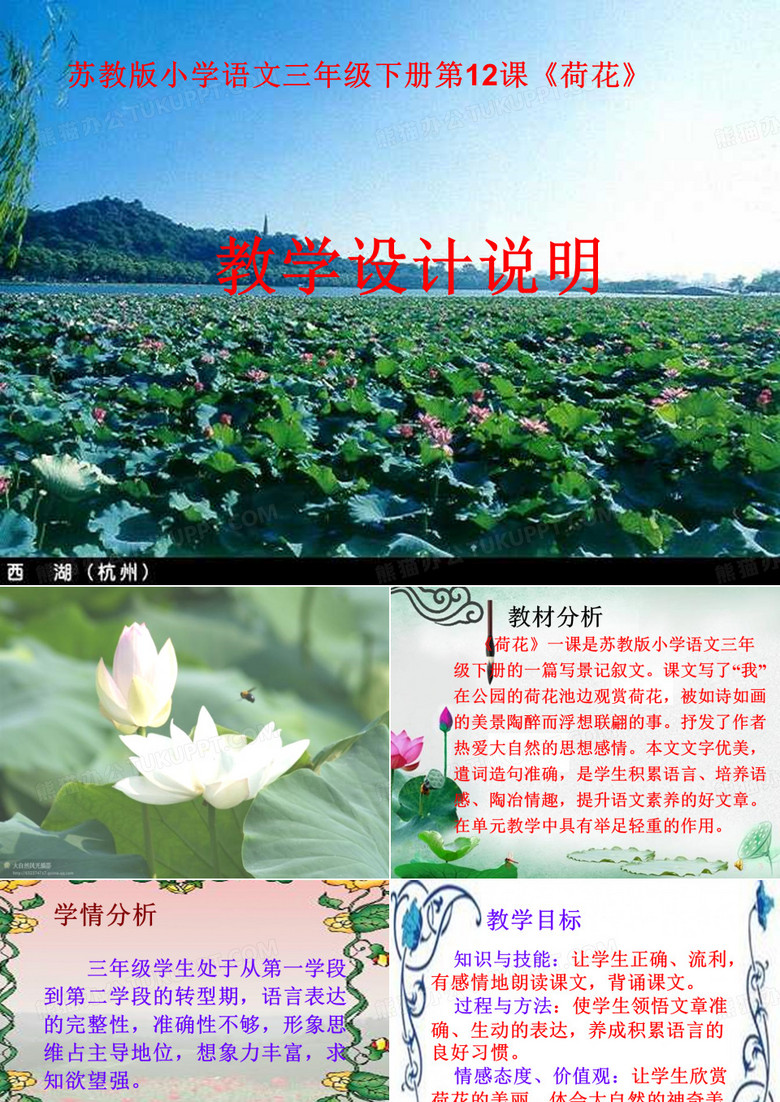[小学教育]三年级《荷花》课件