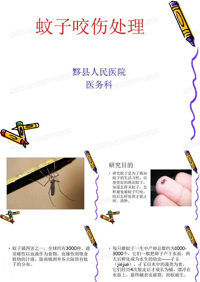 蚊子