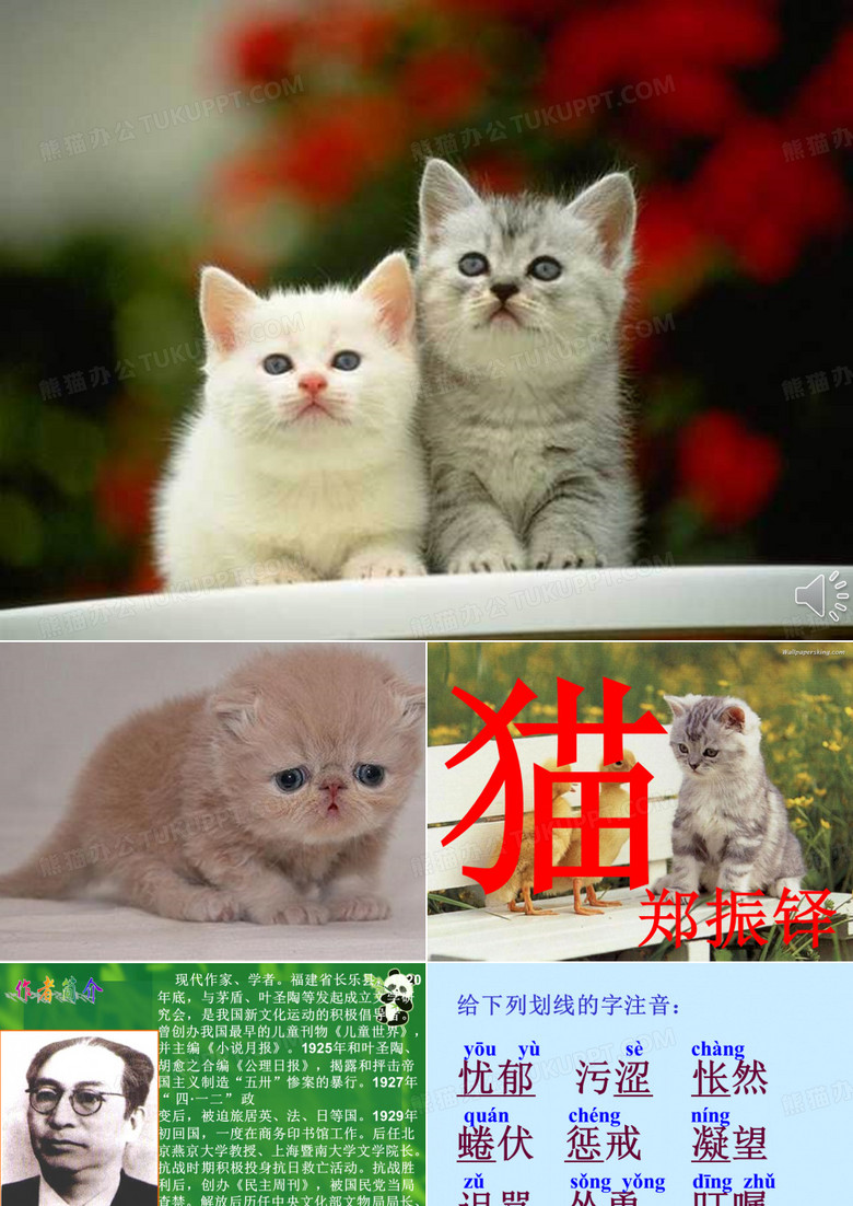 郑振铎《猫》