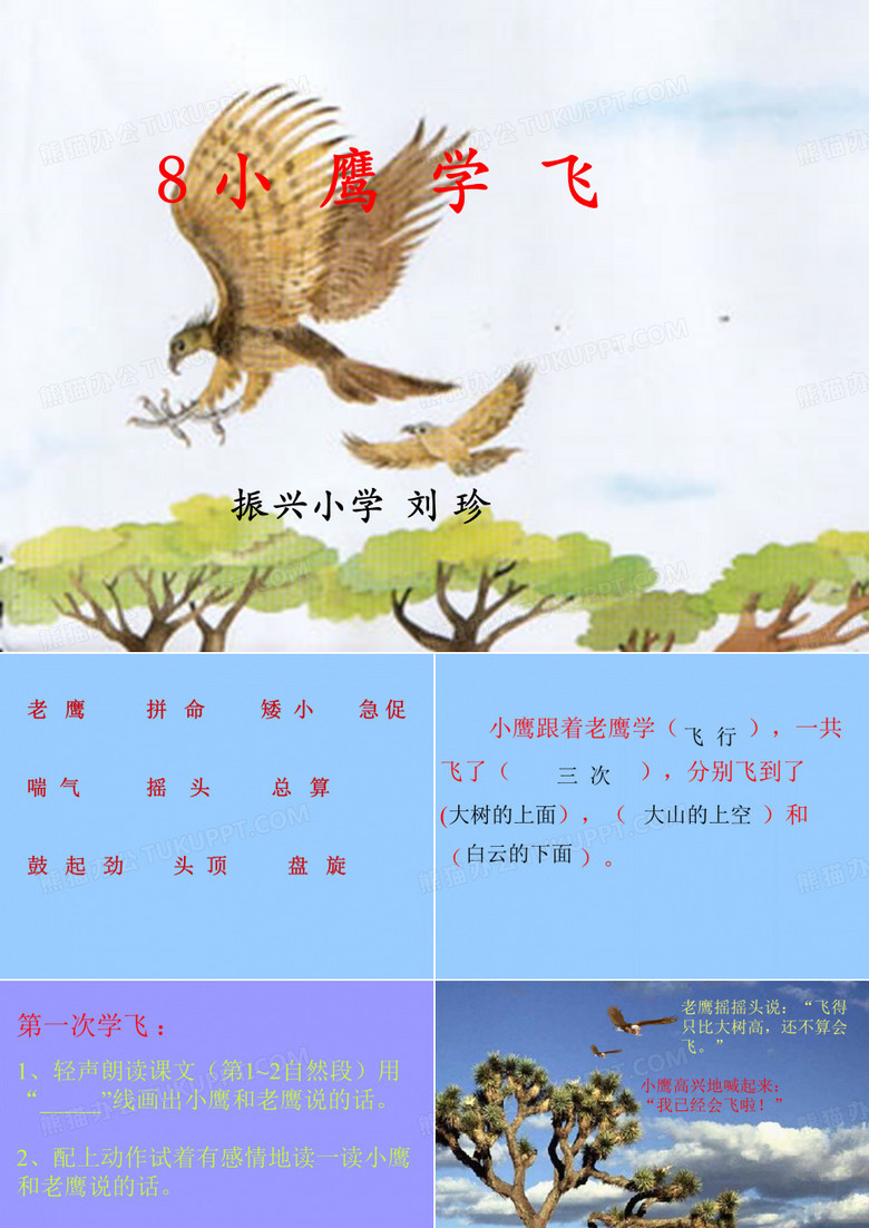 《小鹰学飞》课件