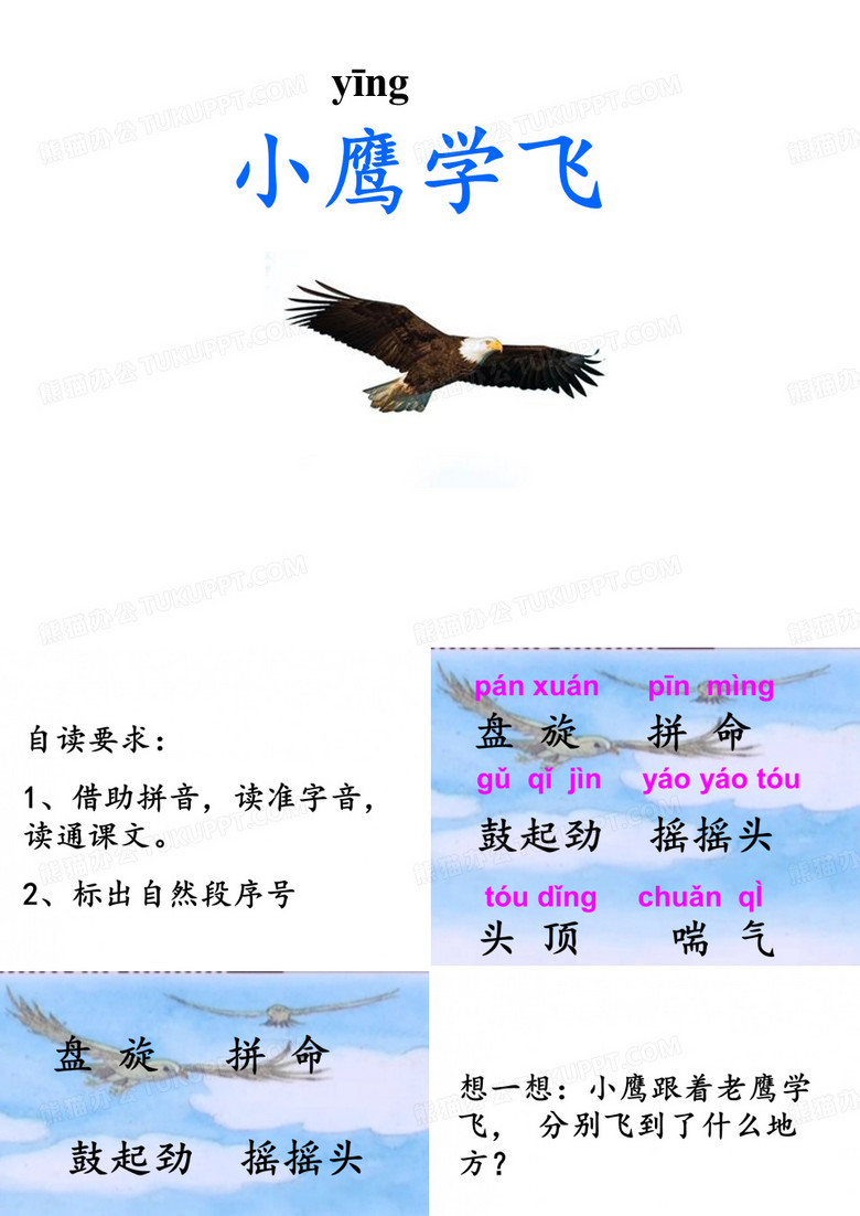 《小鹰学飞》PPT课件