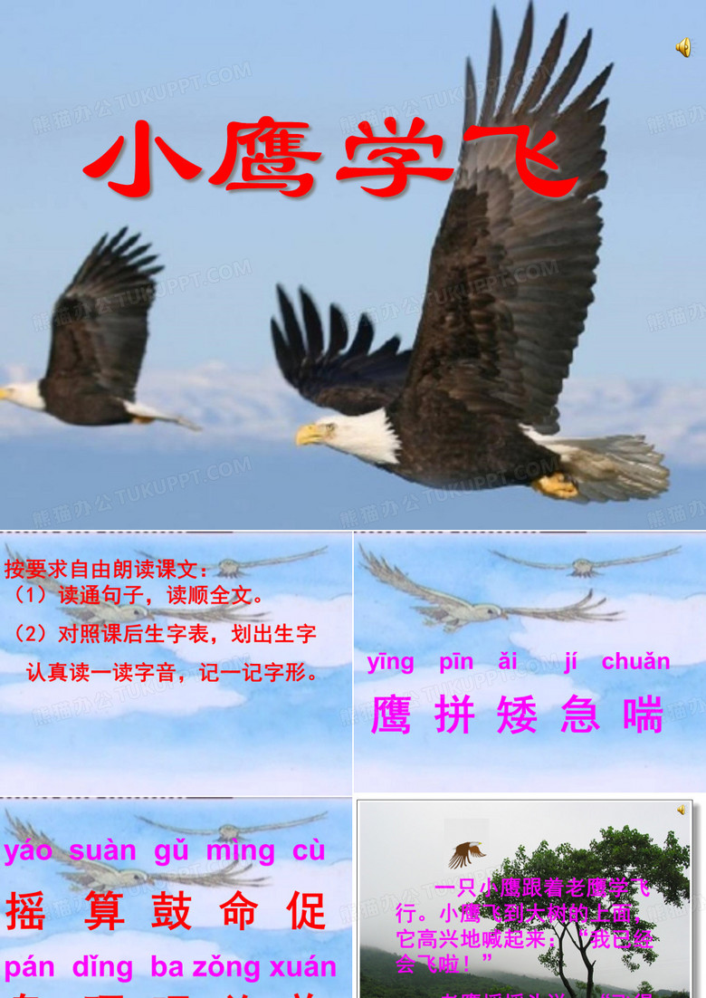 《小鹰学飞》PPT课件
