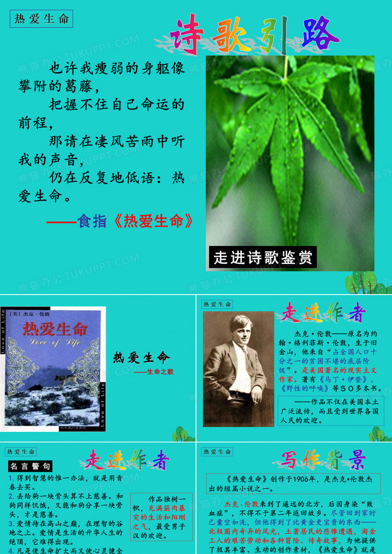 热爱生命