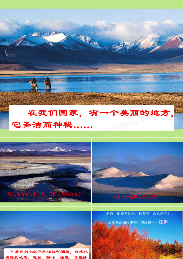 《离太阳最近的树》