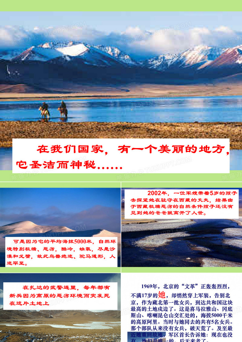 《离太阳最近的树》