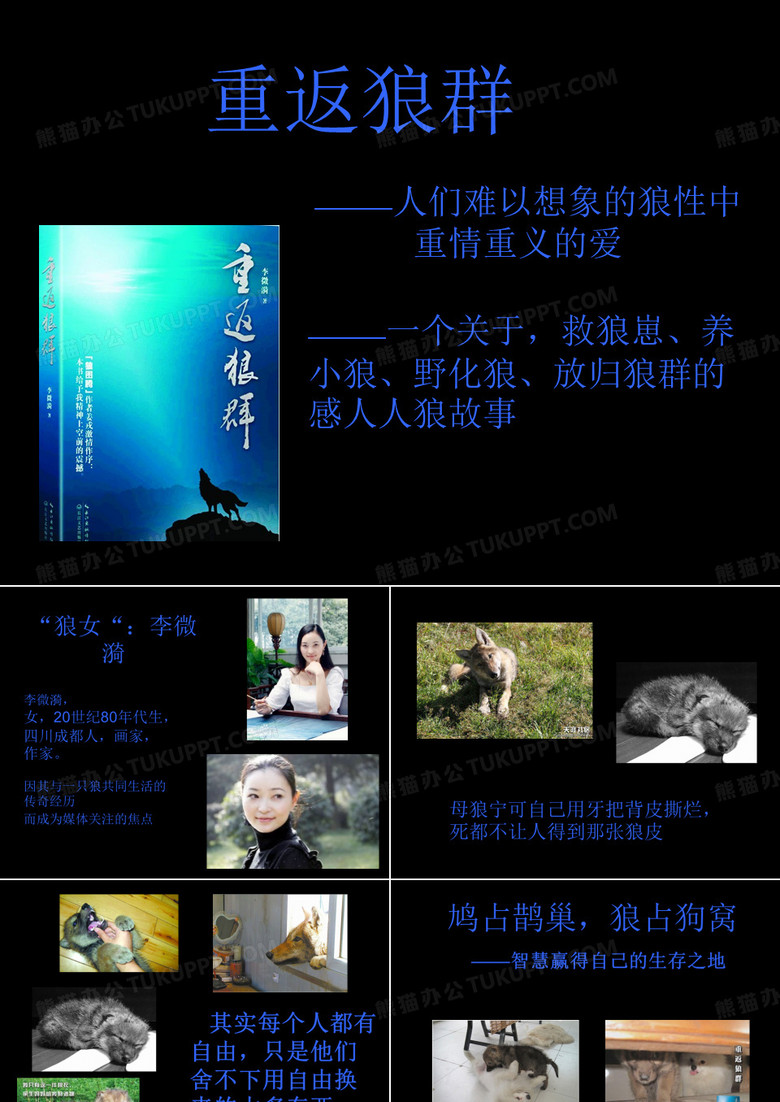 重返狼群李微漪和格林
