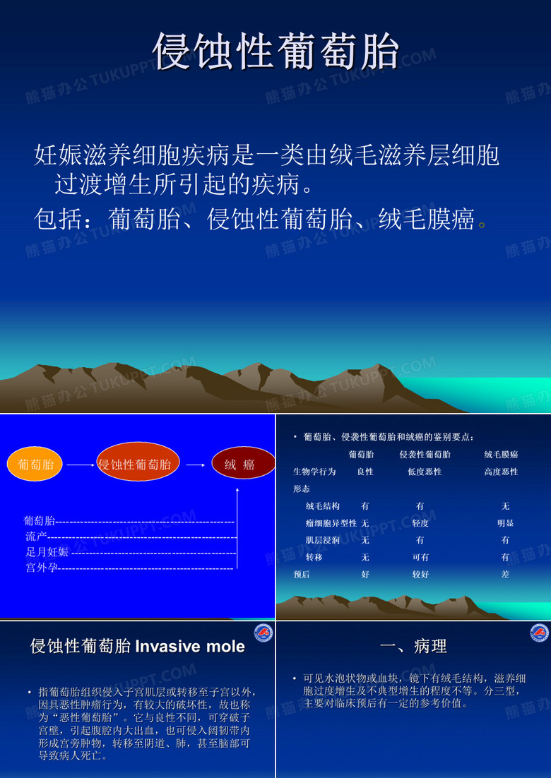 侵蚀性葡萄胎