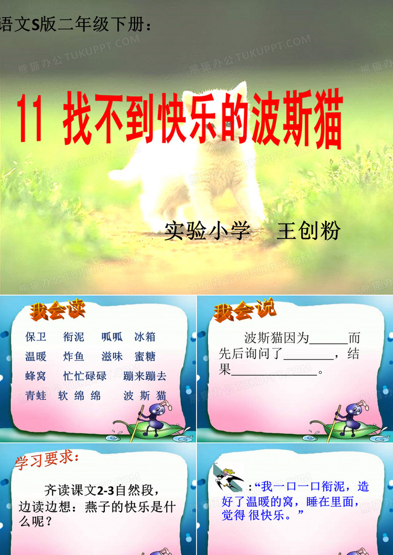 11、找不到快乐的波斯猫
