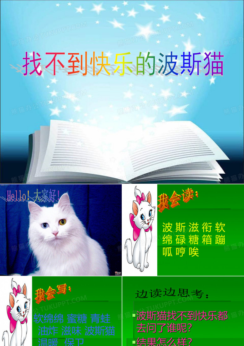课文《找不到快乐的波斯猫》