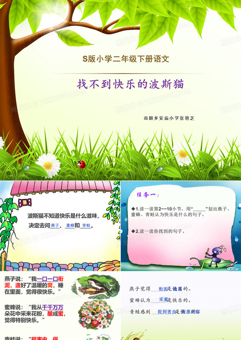 找不到快乐的波斯猫微课