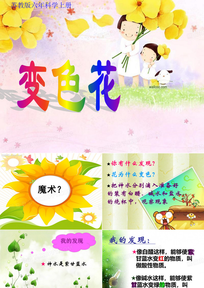 3.六年级科学变色花课件