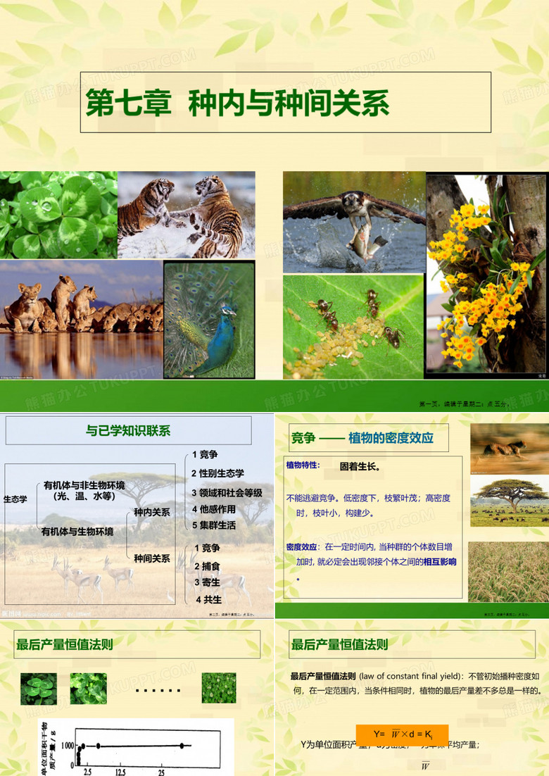 种内和种间关系