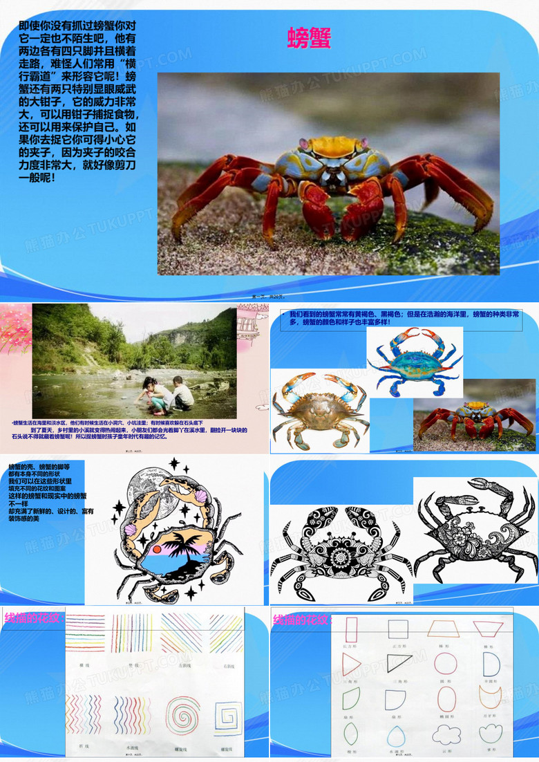 线描画螃蟹    美术教育课件