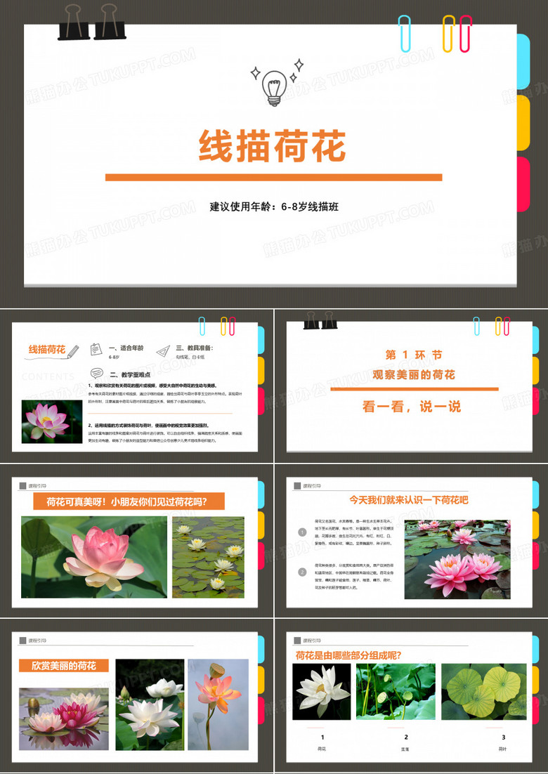 课件《 线描画荷花》幼儿美术课件
