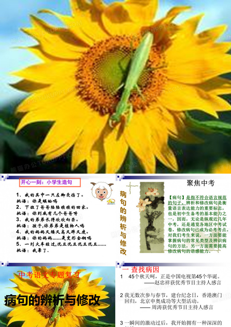 病句的辨析与修改