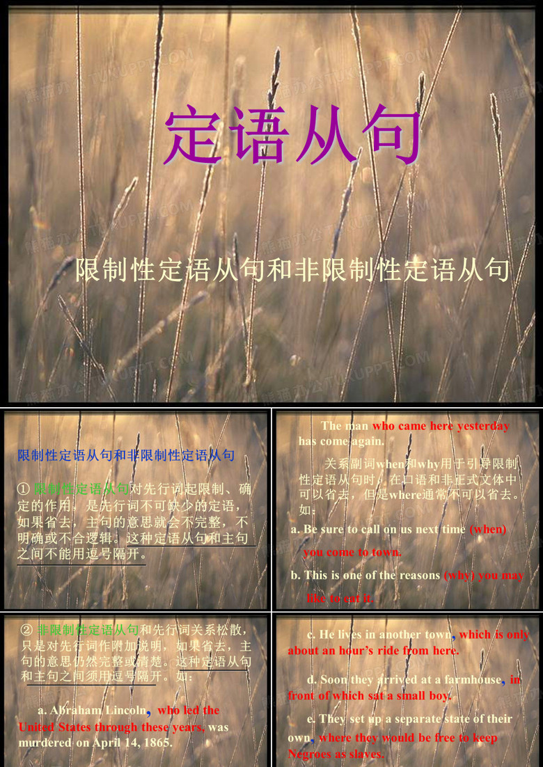限制性定语从句和非限制性定语从句