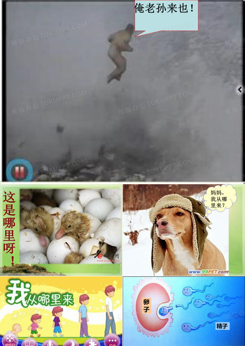 《我从哪里来》