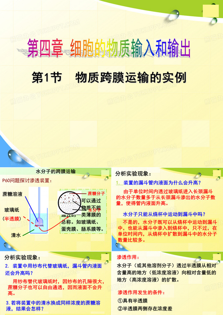 物质跨膜运输的实例