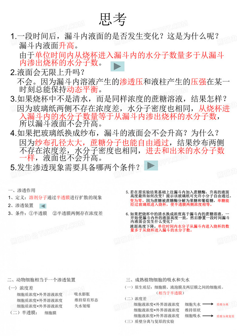 物质跨膜运输的实例