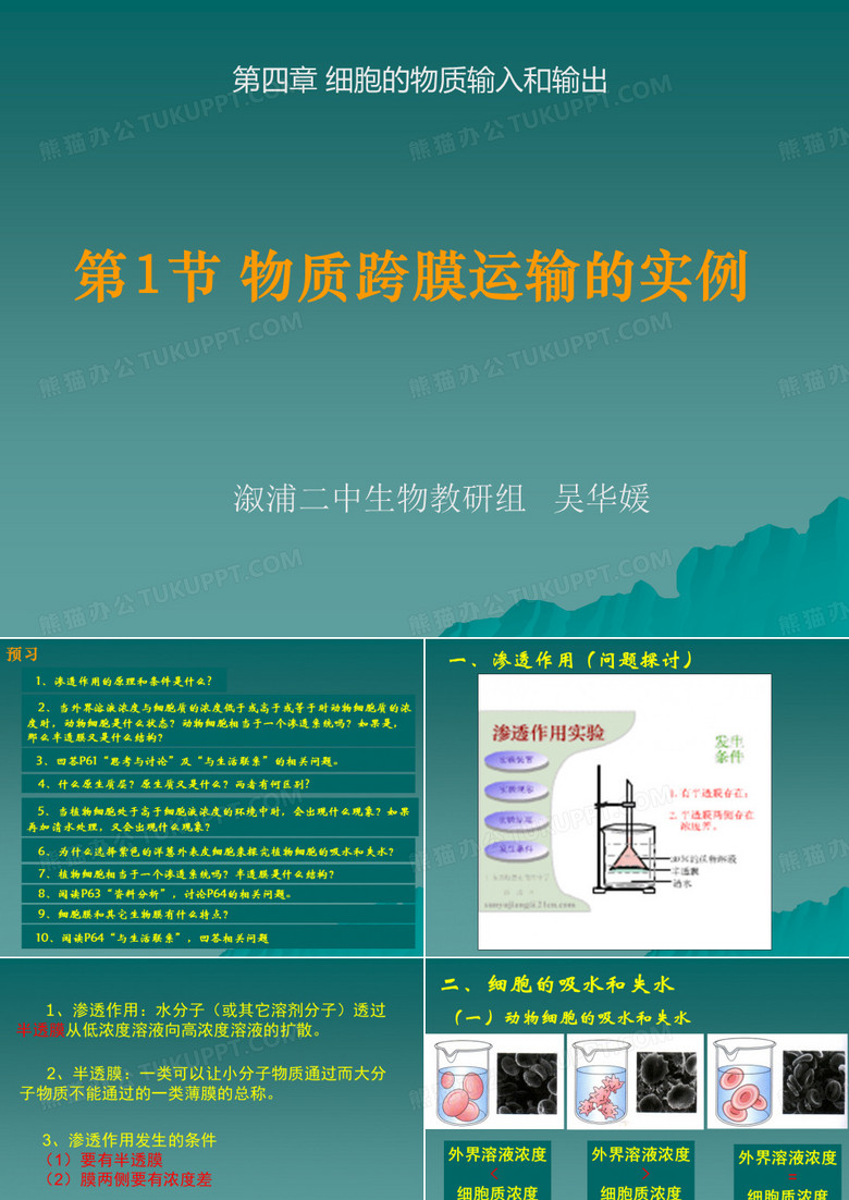 物质跨膜运输的实例