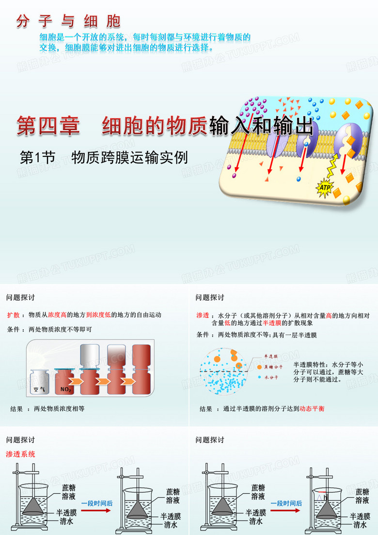 物质跨膜运输的实例