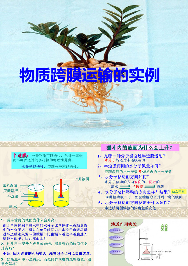 物质的跨膜运输实例