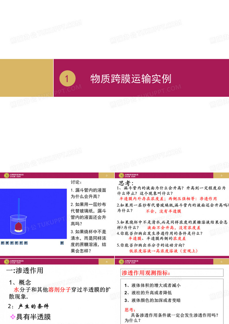 物质跨膜运输实例