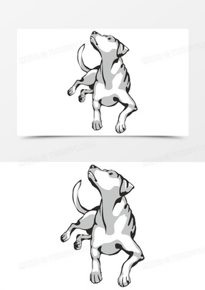 小狗趴着图片素材