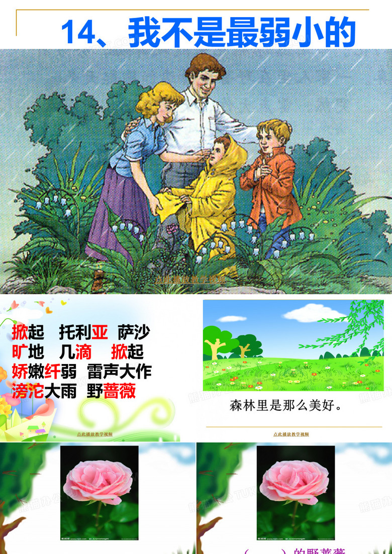 我不是最弱小的课件