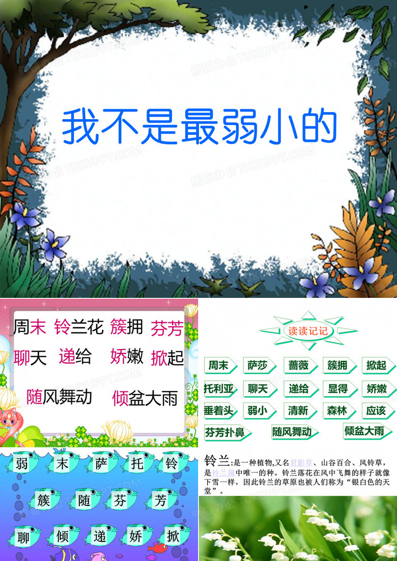 《我不是最弱小的》课件