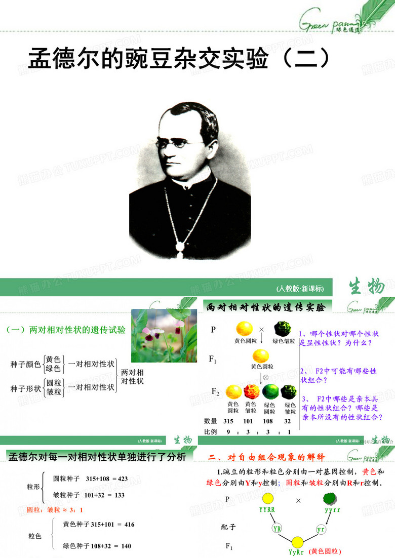孟德尔的豌豆杂交实验