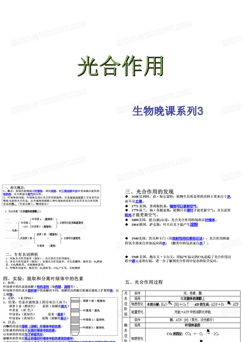 高中生物光合作用