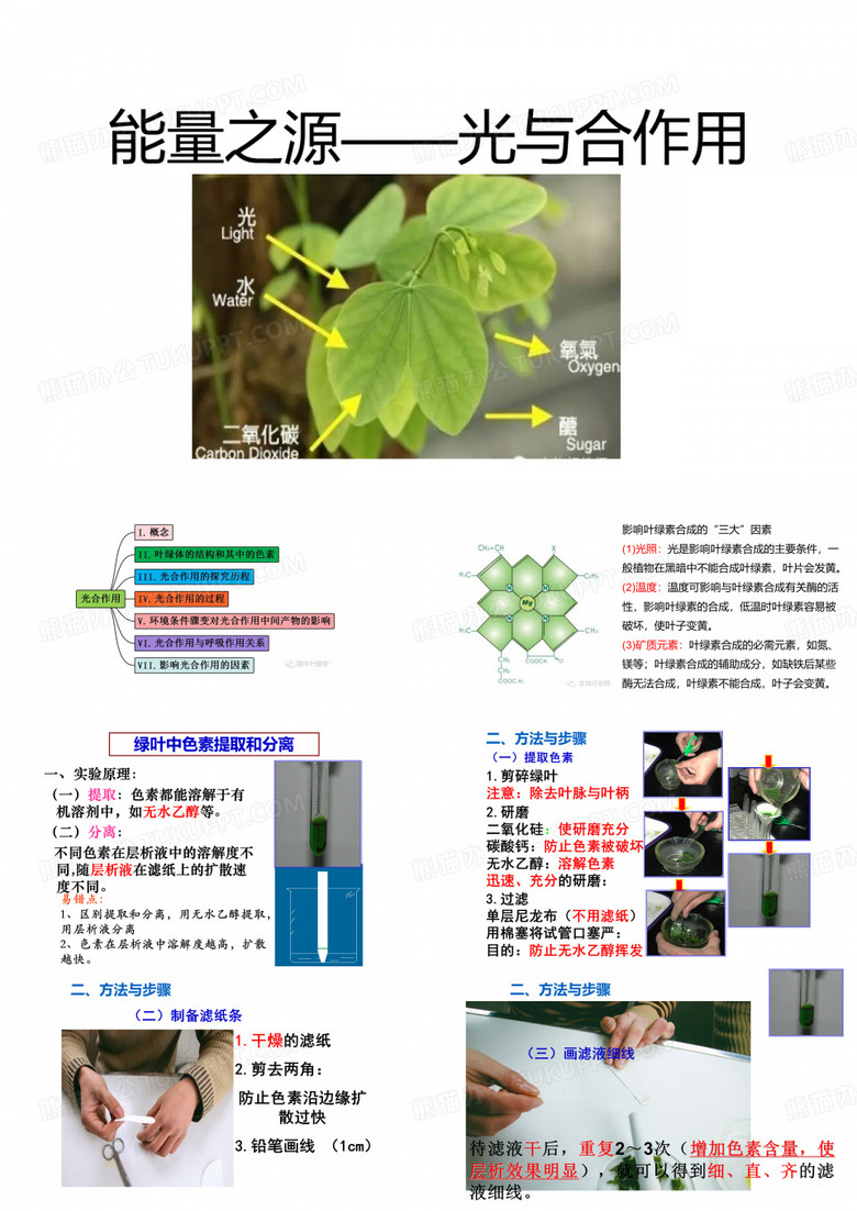 高中生物-光合作用