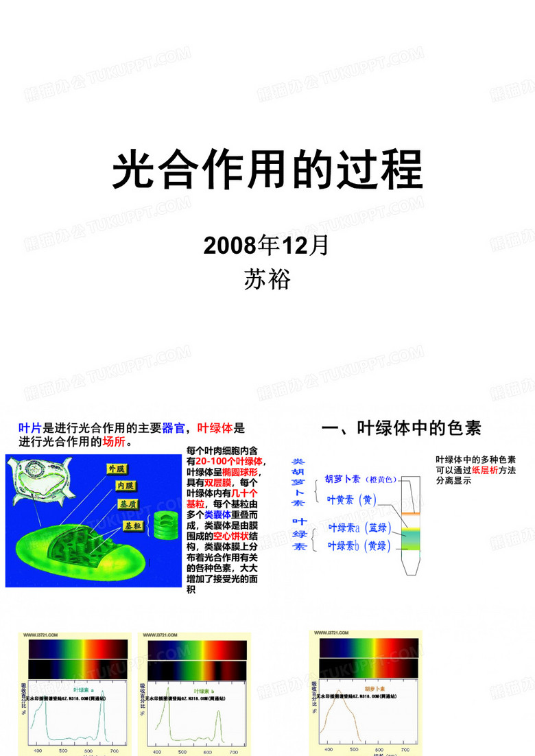 高中生物光合作用的过程